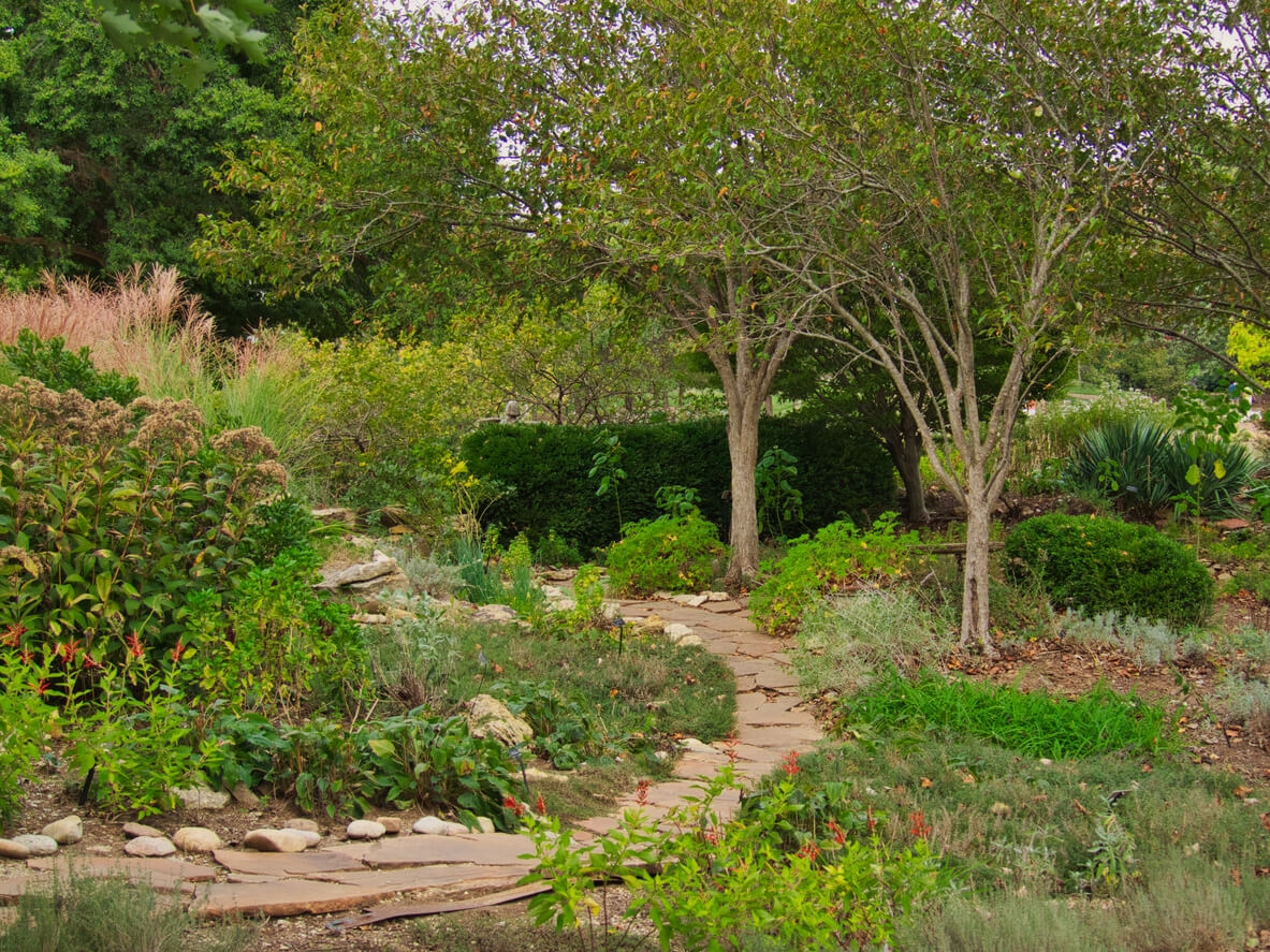 How to Create a Low-Maintenance Garden