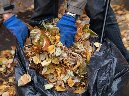 Leaf Removal | Overland Park, KS | Hassle Free Outdoor - leaf-removal-1A