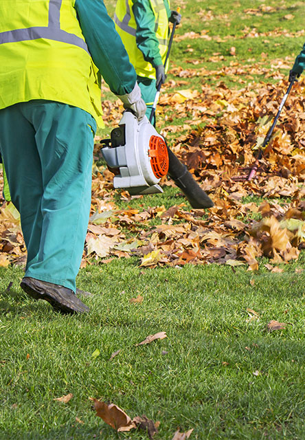 Leaf Removal | Overland Park, KS | Hassle Free Outdoor - leaf-removal-2