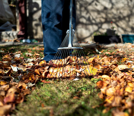 Leaf Removal | Overland Park, KS | Hassle Free Outdoor - leaf-removal-3